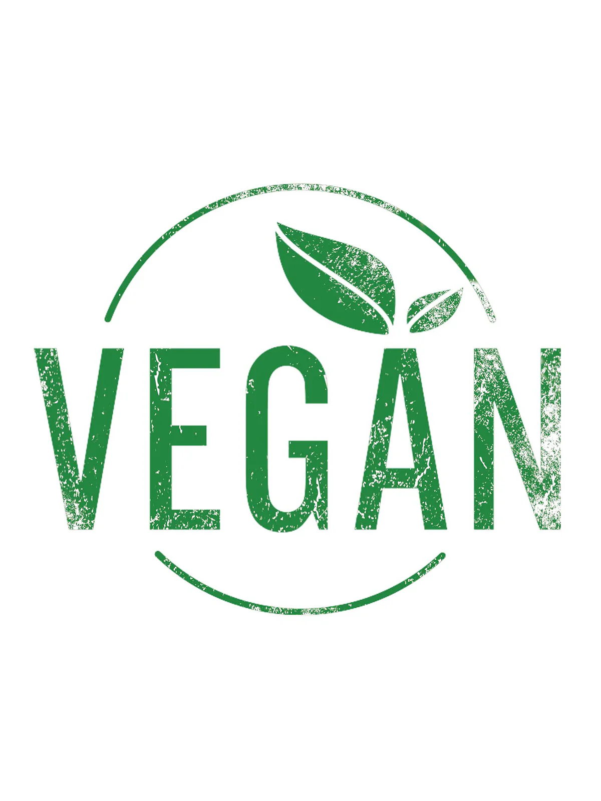 Vegan Silk Scarf - Image 5